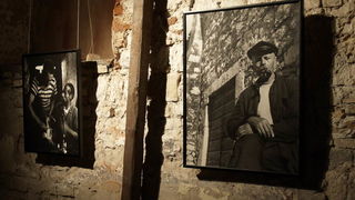 Zadar More, otvaranje izlo