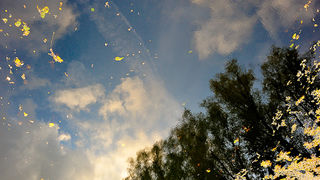 Sjeverni Velebit i Lika u jesen Sjeverni Velebit i Lika u jesen