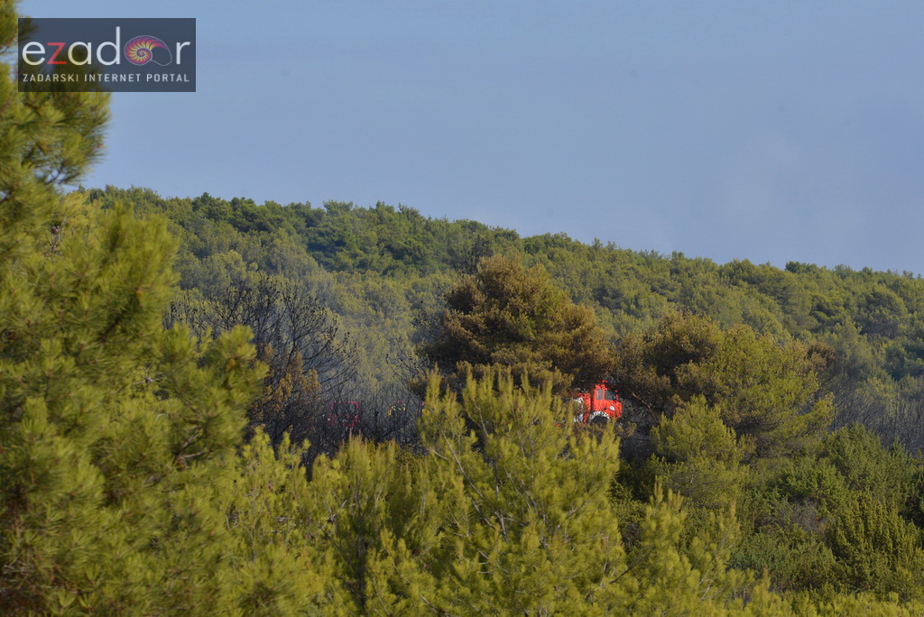 Zračne i kopnene vatrogasne snage u rekordnom roku lokalizirale požar između Dikla i Kožina