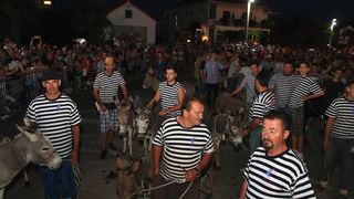 Trka Tovarov – 48. Memorijal Kenje Vijole Sukošan  Photo: Leo Banić