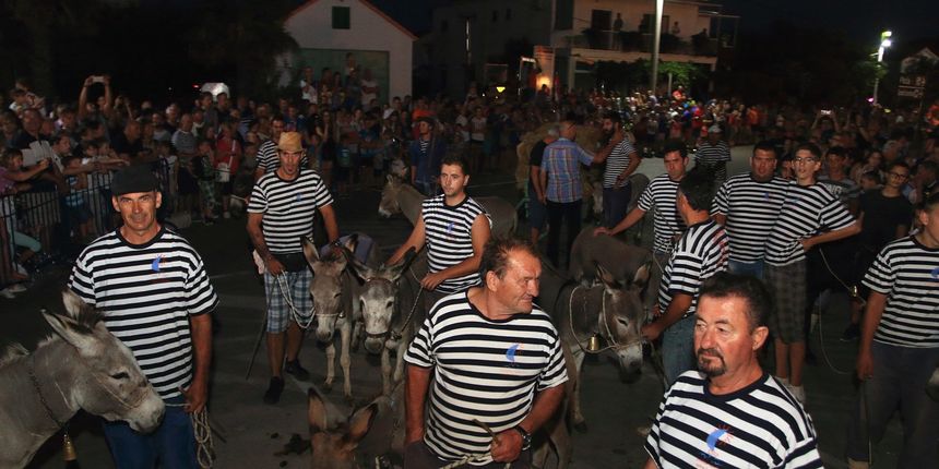 Trka Tovarov – 48. Memorijal Kenje Vijole Sukošan  Photo: Leo Banić