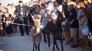 51. Saljske užance, 8. kolovoza 2010. (foto:Saša Čuka)