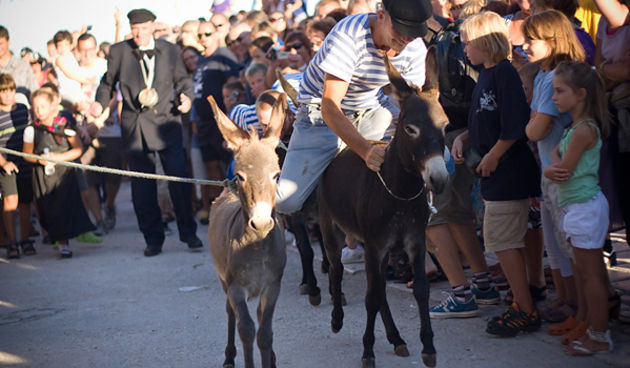 51. Saljske užance, 8. kolovoza 2010. (foto:Saša Čuka)