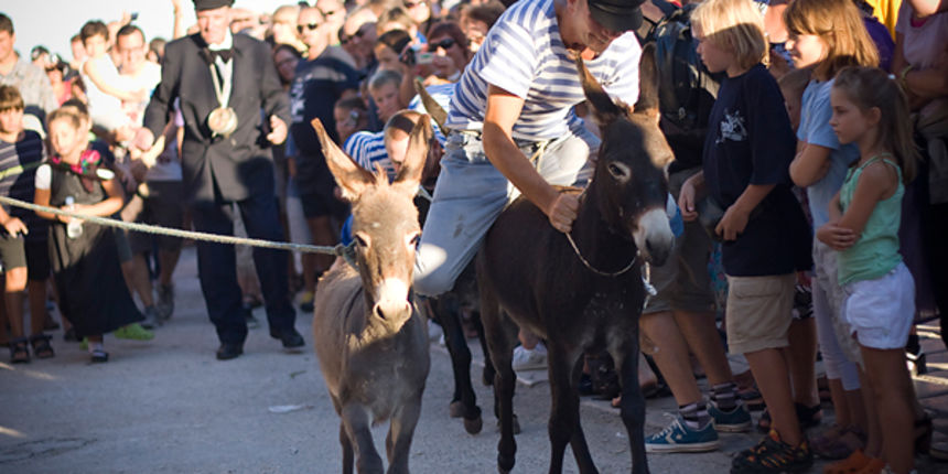 51. Saljske užance, 8. kolovoza 2010. (foto:Saša Čuka) 51. Saljske užance, 8. kolovoza 2010. (foto:Saša Čuka)