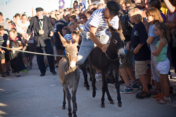 51. Saljske užance, 8. kolovoza 2010. (foto:Saša Čuka)