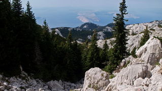 Nedjelja na Zavizanu