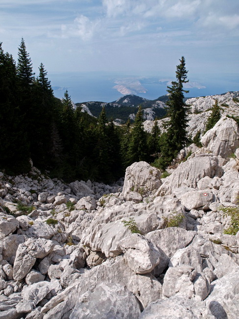 Nedjelja na Zavizanu