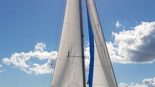 Zadarska Koka 2016. 22. listopada 2016. Foto: Mladen Malik Zadarska Koka 2016. 22. listopada 2016. Foto: Mladen Malik