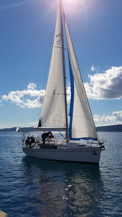 Zadarska Koka 2016. 22. listopada 2016. Foto: Mladen Malik Zadarska Koka 2016. 22. listopada 2016. Foto: Mladen Malik