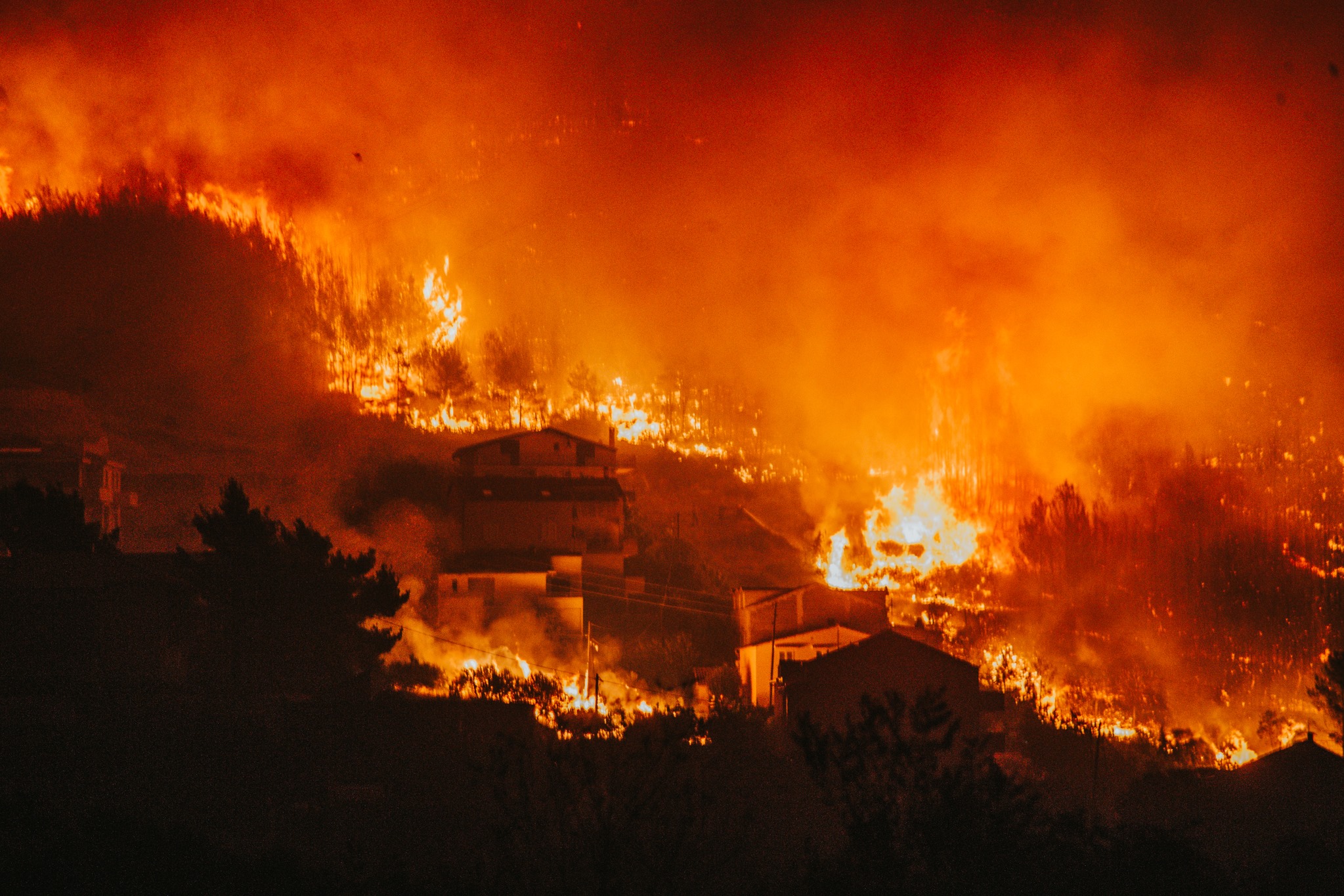 Žrnovnica Žrnovnica