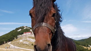 Nedjelja na Zavizanu