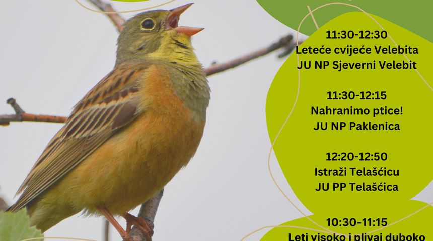 Poslušaj glas prirode