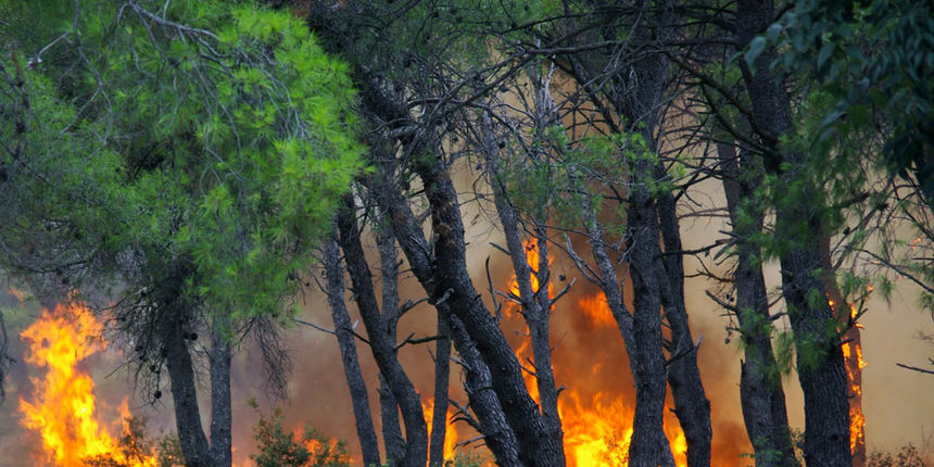 opožarene površine opožarene površine