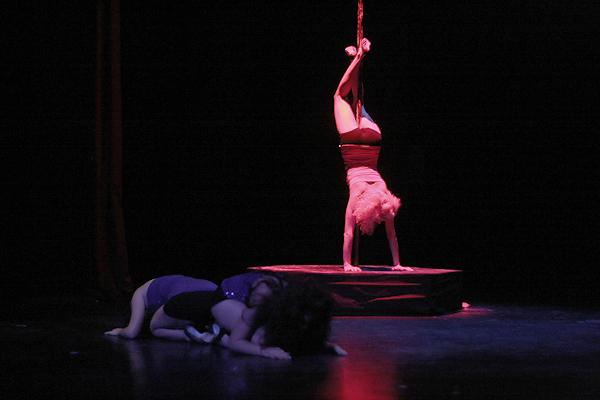 Image 1032877 (auto)