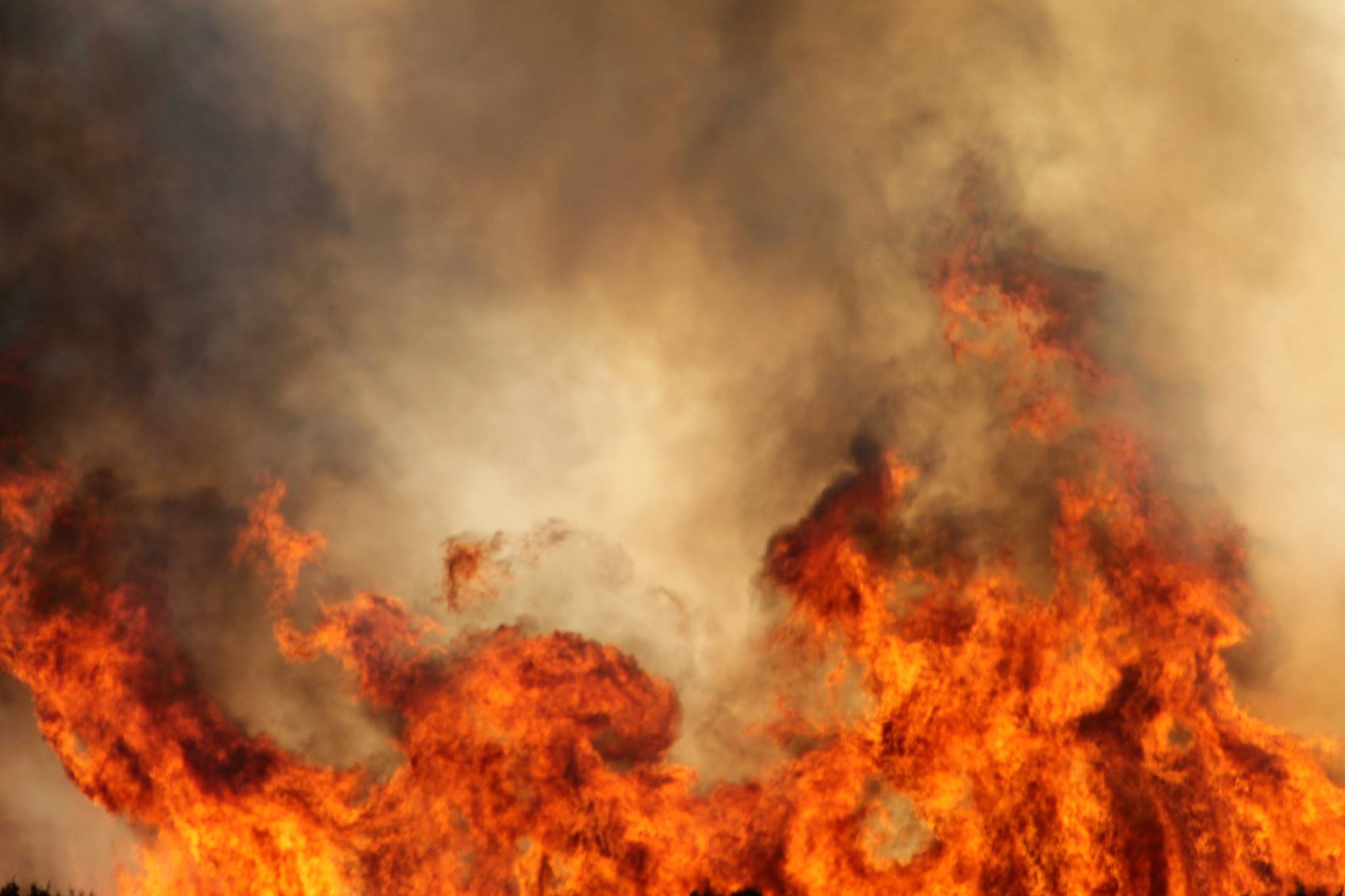 Lokaliziran požar kod Košljuna na otoku Pagu Lokaliziran požar kod Košljuna na otoku Pagu