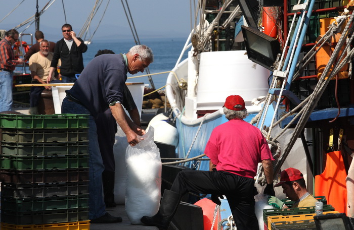 Zadar, 290312.
Proteklih dana lijepo vrijeme posluzilo je ribarima. 
Na fotografiji: ribari iskrcavaju frisku ribu na Liburnijskoj obali u Zadru.
Foto: Andrija Lucic /  Cropix