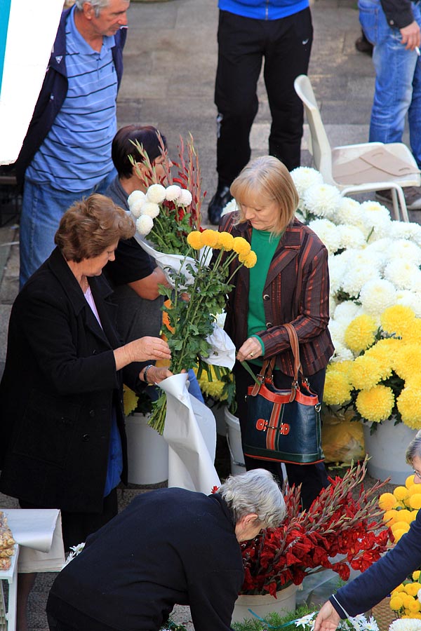 Započela prodaja cvijeća na zadarskoj tržnici, foto-I. Perinčić Započela prodaja cvijeća na zadarskoj tržnici, foto-I. Perinčić