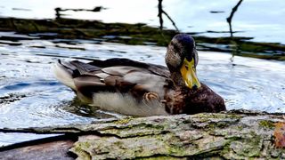 NP Plitvička jezera, listopad 2021.