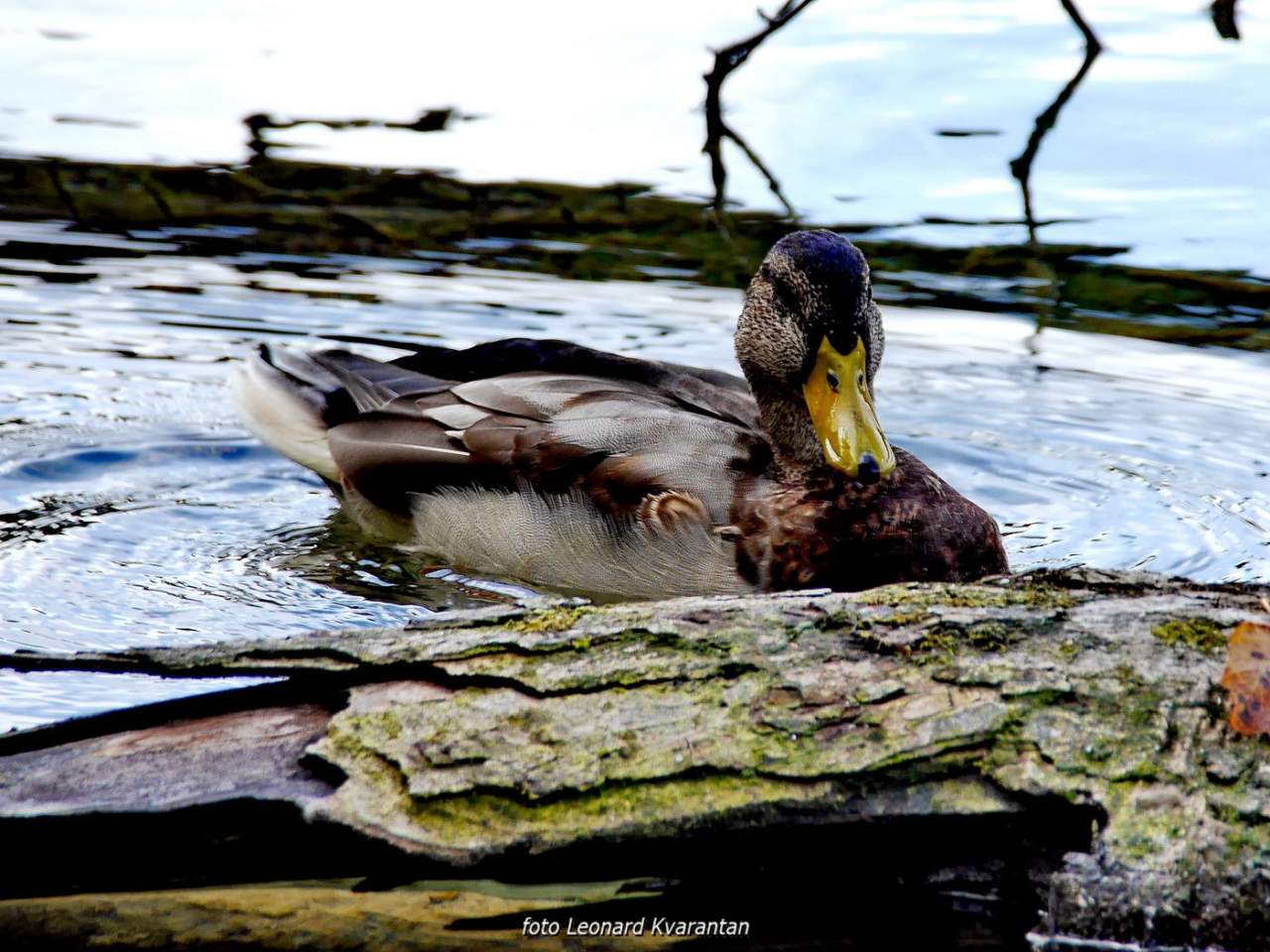 NP Plitvička jezera, listopad 2021.