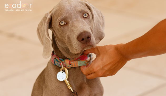 Đir po gradu, srijeda 18. kolovoza 2021.