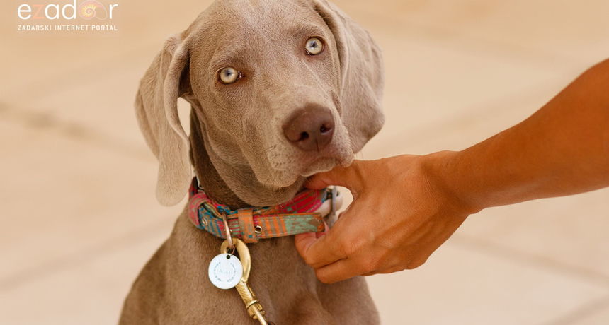 Đir po gradu, srijeda 18. kolovoza 2021.