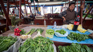 Đir po pijaci, 17. travnja 2012. (foto:Saša Čuka)