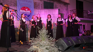 31. Susret klapa “Raspivano Bibinje”, Foto: Leo Banić