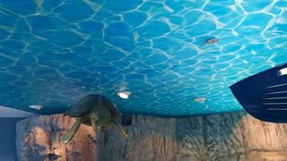 U Telašćici otvoren Interpretacijski centar Grpašćak U Telašćici otvoren Interpretacijski centar Grpašćak