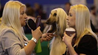 Izložba pasa Crufts 2009 u Birminghamu (Javno.hr)