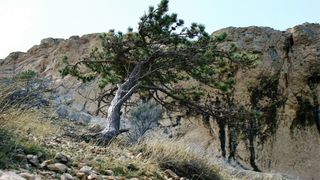 2. Pag Island Trail & Treking @ Metajna 2. Pag Island Trail & Treking @ Metajna