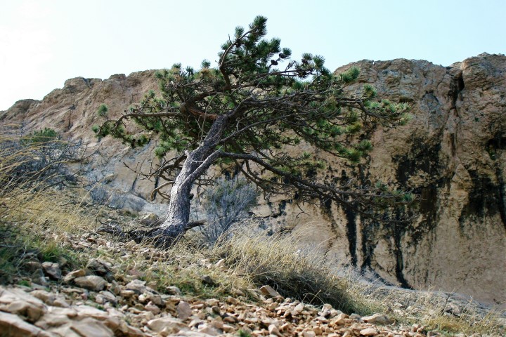 2. Pag Island Trail & Treking @ Metajna 2. Pag Island Trail & Treking @ Metajna