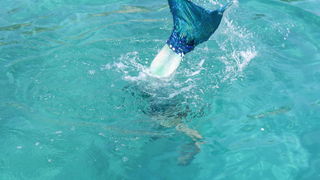 Kod otoka Prvića snimljen spot za pjesmu “Plovim” Tomislava Bralića i klape Intrade!