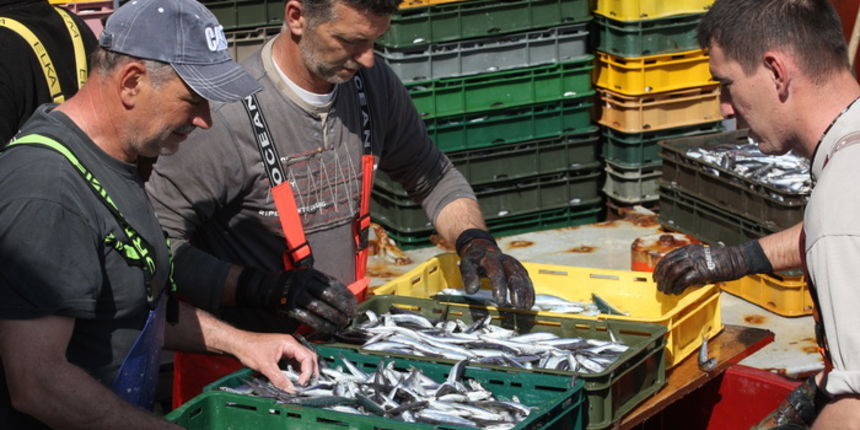 Zadar, 290312.
Proteklih dana lijepo vrijeme posluzilo je ribarima.
Na fotografiji: ribari iskrcavaju frisku ribu na Liburnijskoj obali u Zadru.
Foto: Andrija Lucic / Cropix Zadar, 290312.
Proteklih dana lijepo vrijeme posluzilo je ribarima.
Na fotografiji: ribari iskrcavaju frisku ribu na Liburnijskoj obali u Zadru.
Foto: Andrija Lucic / Cropix