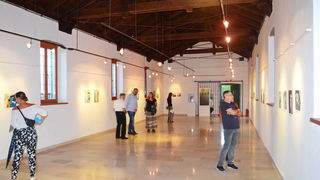 U galeriji Kninskog muzeja otvorena izložba slika “Autoportreti” Marine Ćorić