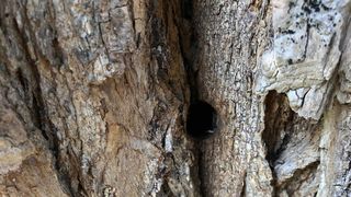 Ekocid u uvali Maestral Ekocid u uvali Maestral