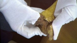 Otkrivene tajne relikvija zadarskih zaštitnika Otkrivene tajne relikvija zadarskih zaštitnika