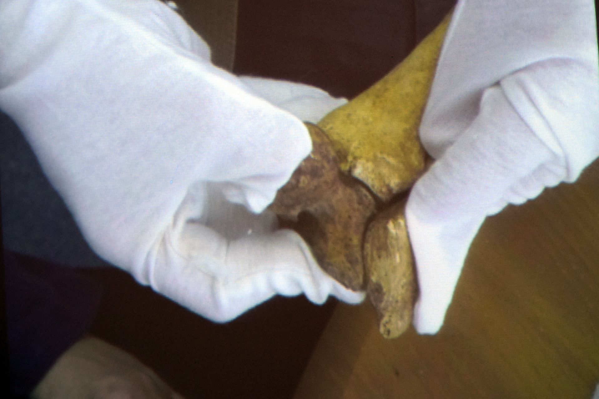 Otkrivene tajne relikvija zadarskih zaštitnika Otkrivene tajne relikvija zadarskih zaštitnika