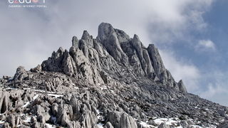 Tulove grede pod snježnim pokrivačem Tulove grede pod snježnim pokrivačem