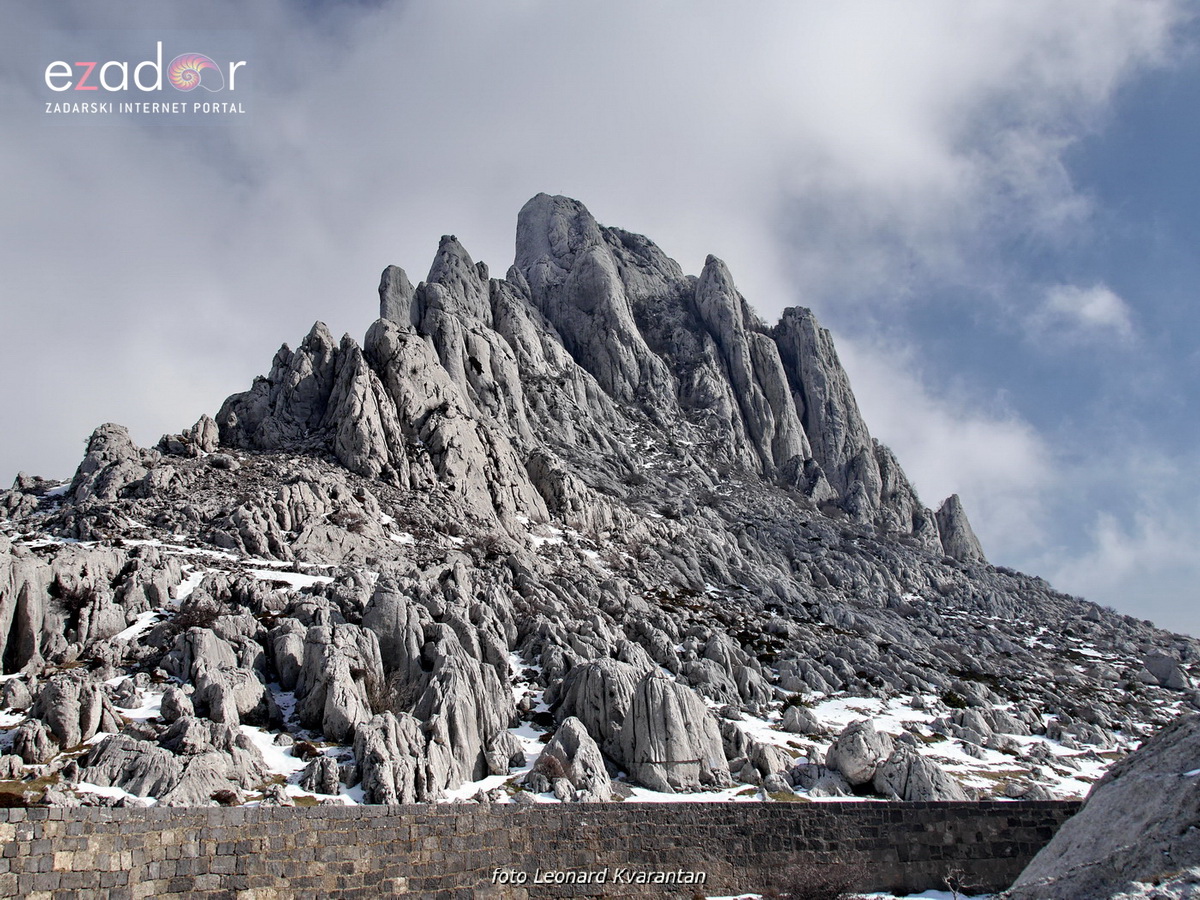 Tulove grede pod snježnim pokrivačem Tulove grede pod snježnim pokrivačem