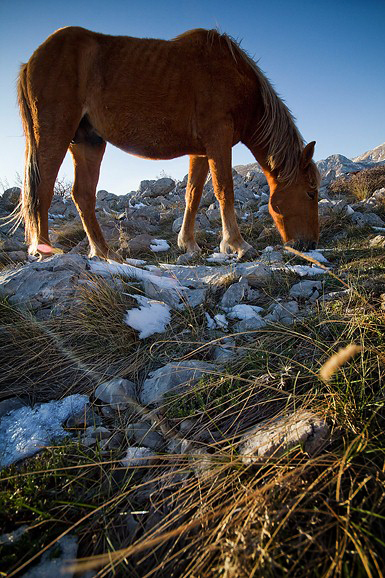 Đir do Libinja 9. travnja 2012. (foto:Saša Čuka) Đir do Libinja 9. travnja 2012. (foto:Saša Čuka)