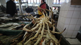 Đir po pešakariji 24. veljače 2012, Foto. Saša Čuka Đir po pešakariji 24. veljače 2012, Foto. Saša Čuka