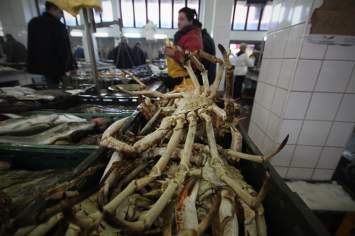 Đir po pešakariji 24. veljače 2012, Foto. Saša Čuka Đir po pešakariji 24. veljače 2012, Foto. Saša Čuka