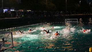 VAK”AN”ZA 31%, finale: Reptili – Nesvrstani 2-4 VAK”AN”ZA 31%, finale: Reptili – Nesvrstani 2-4