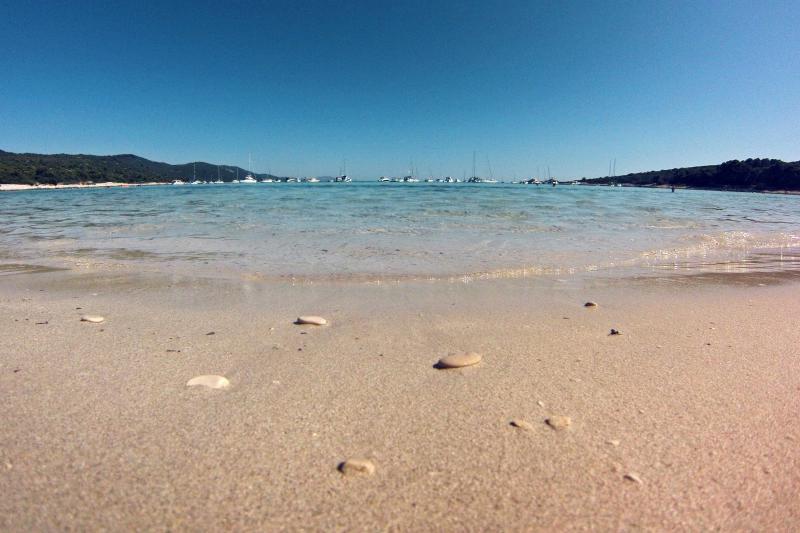 25.07.2013., Dugi otok, Sakarun – Uzduz i poprijeko Dugog otoka u zadarskom arhipelagu u ljetnim danima prepuno je turista, a najomiljenija plaza zasigurno je Sakarun, koja sa nalazi u uvali pokraj mjesta Veli Rat. Pjeskovita plaza sa tirkizno cistim mo