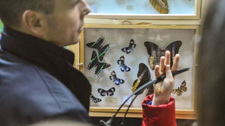 11. Noć muzeja u Zadru, foto-Iva Perinčić 11. Noć muzeja u Zadru, foto-Iva Perinčić