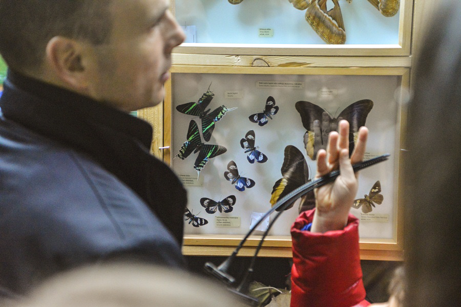 11. Noć muzeja u Zadru, foto-Iva Perinčić 11. Noć muzeja u Zadru, foto-Iva Perinčić