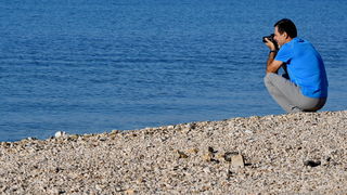 Sva lica “Zadarske koke” Sva lica “Zadarske koke”