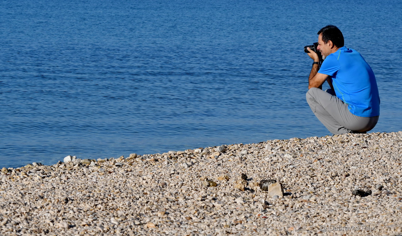 Sva lica “Zadarske koke” Sva lica “Zadarske koke”