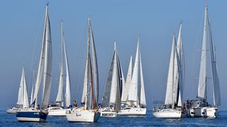 Sva lica “Zadarske koke” Sva lica “Zadarske koke”