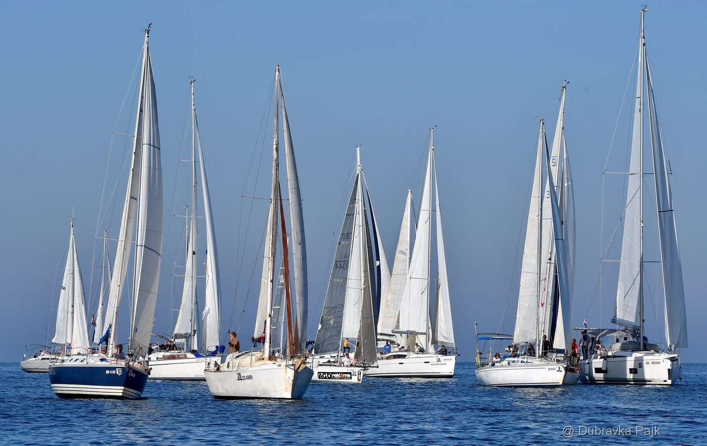 Sva lica “Zadarske koke” Sva lica “Zadarske koke”